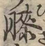 已定位膝