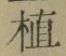 字植
