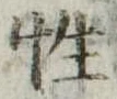 Đã định vị 性