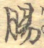 Đã định vị 腸