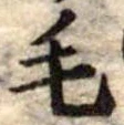 已定位毛
