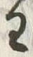 「わ」字