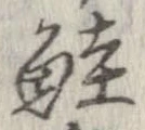 鮭の位置