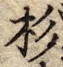 杉 위치 확인됨