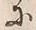 Chữ 非