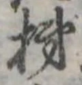 位置定マレル柿