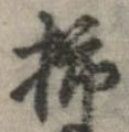 位置定マレル柿