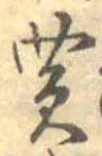 Đã định vị 買