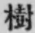 Chữ 樹