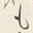 「も」字