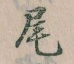 Located 尾