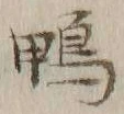 字鴨