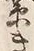字率