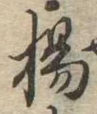 已定位楊