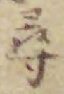 字尋