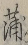 字蒲