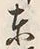 字予