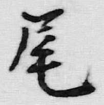 Character 尾