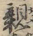 已定位親