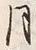 𡨸江