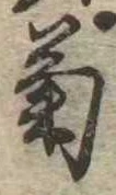 已定位菊