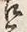 「古」字