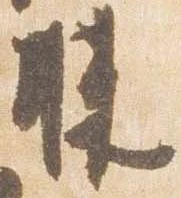 已定位膝