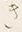 Character 近
