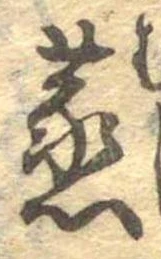 蒸の位置