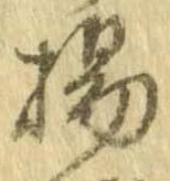 已定位楊