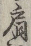 已定位肩
