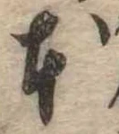 已定位本