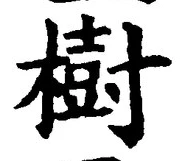 「樹」字