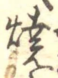 位置 確認된 未指定