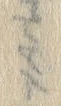 字飲