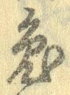 已定位兎