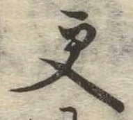 已定位更