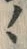 字ヽ