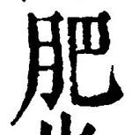 Chữ 肥