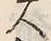 “松”字