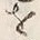 文字 諸