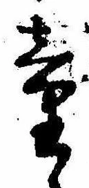 Đã định vị 童