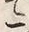 字二
