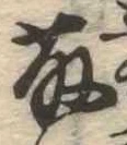 已定位藤