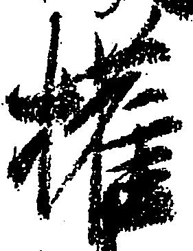 権の位置