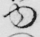 “ゆ”字