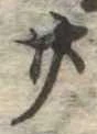 位置定マレル廿