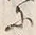 Character 土