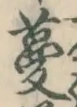Character 蔓