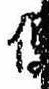 Located 便